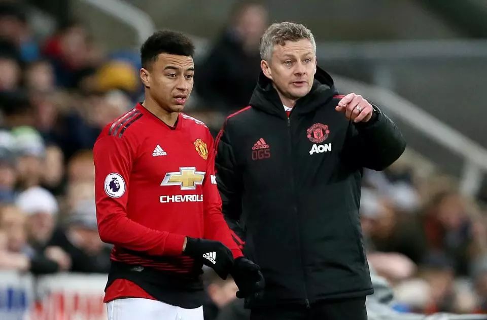 投入到了家 投入到了家